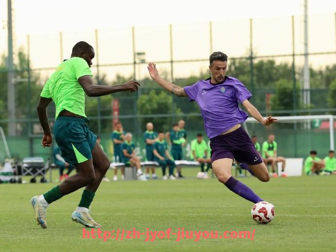 九游jiuyou-上海会所常用健身器材类型及高端器械配置方案