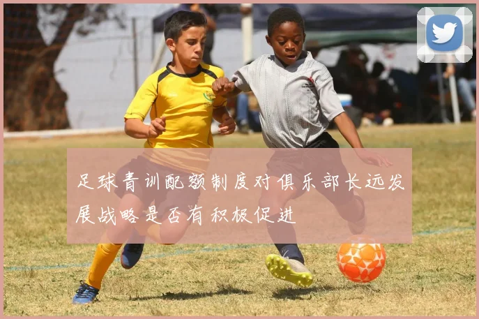 足球青训配额制度对俱乐部长远发展战略是否有积极促进
